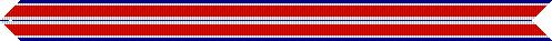 File:AFOEA Streamer.jpg