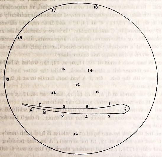 File:Faraday Gymnotus 1838.png