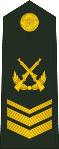File:PLAGF-0707-3CSGT.png