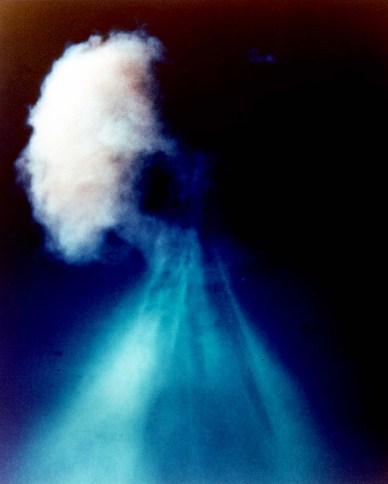 File:Plumbbob John Nuclear Test.jpg