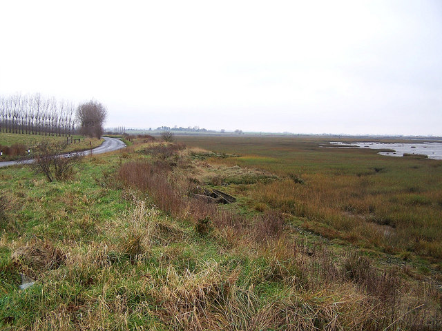 File:Shoreline of Funton Creek - geograph.org.uk - 646429.jpg