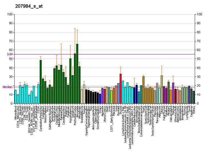 File:PBB GE MPP2 207984 s at fs.png