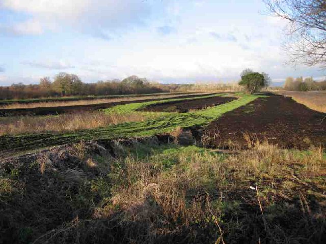File:Peat Extraction - geograph.org.uk - 96101.jpg