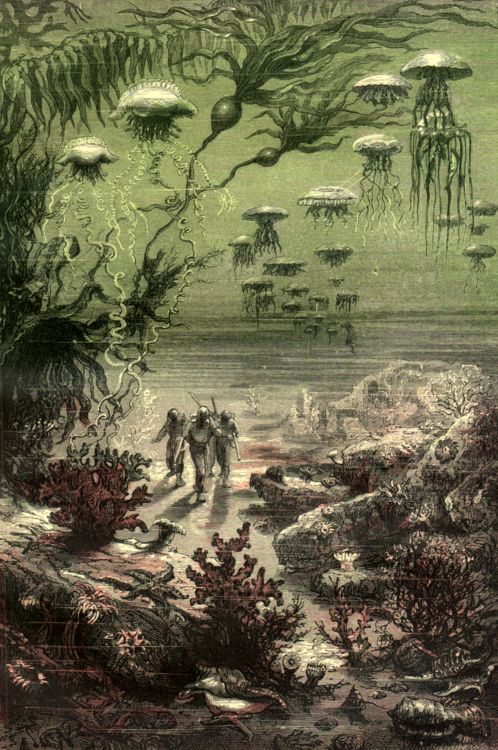 File:'Twenty Thousand Leagues Under the Sea' by Neuville and Riou 036.jpg