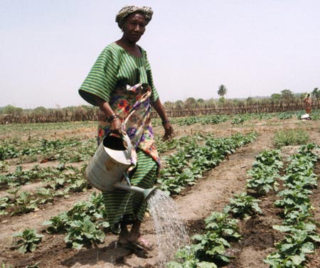 File:Guinea Siguiri farmer woman.jpg