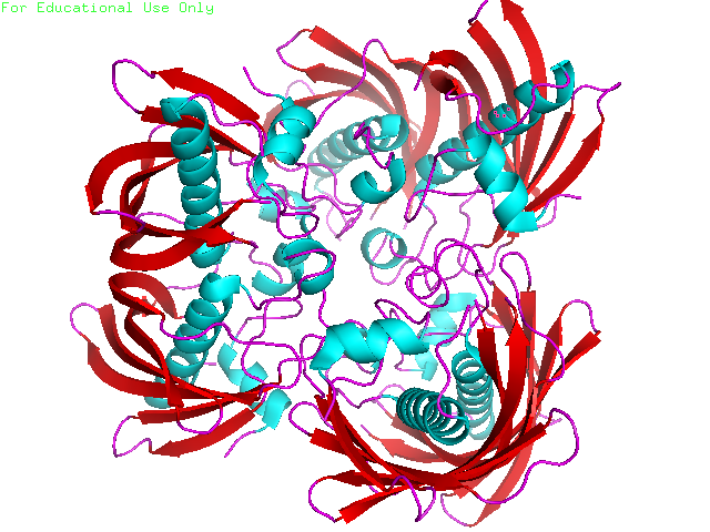 File:HydroxyacylACPdehydrase.png