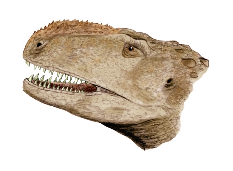 File:Abelisaurus BW.jpg