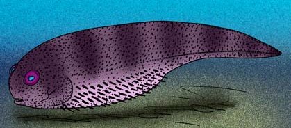 File:Delphyodontos dacriformes cropped.jpg