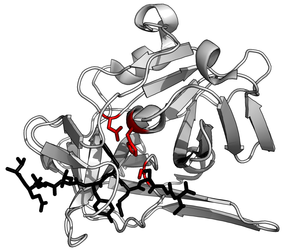 File:TEV protease summary.png