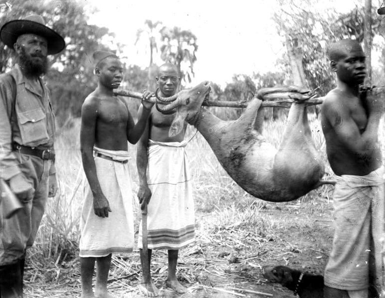File:Bundesarchiv Bild 105-DOA0015, Deutsch-Ostafrika, Heimkehr von der Jagd.jpg