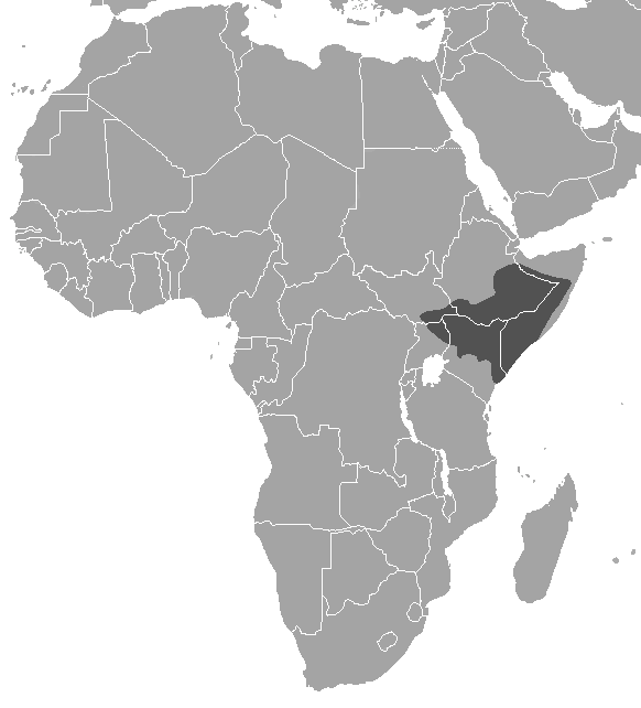 File:Madoqua guentheri map.png