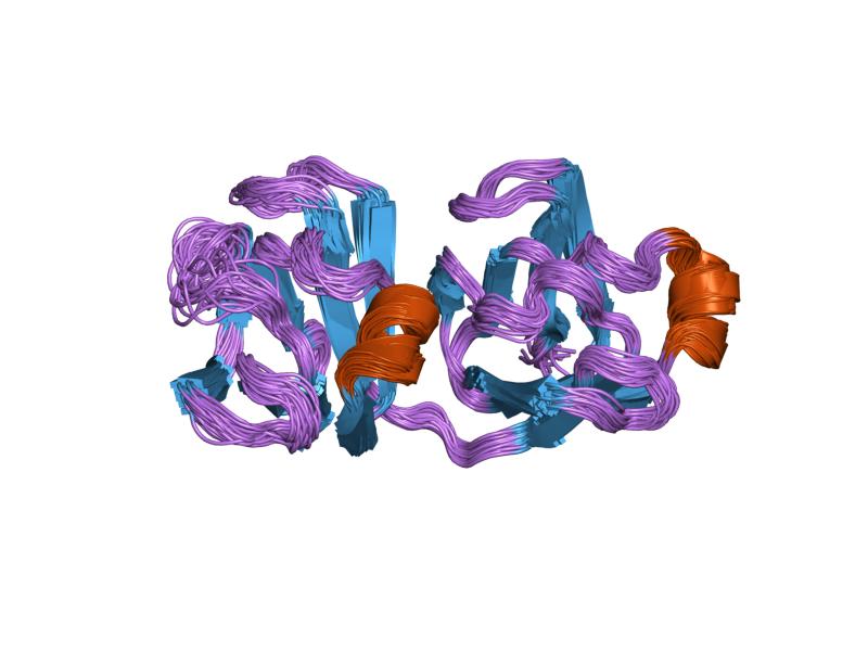 File:PDB 1prs EBI.jpg
