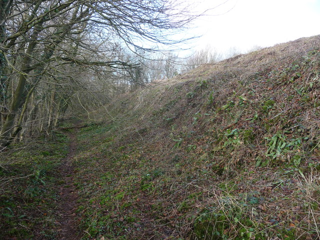 File:Llanmelin hillfort, part of outer ramparts - geograph - 3311290.jpg