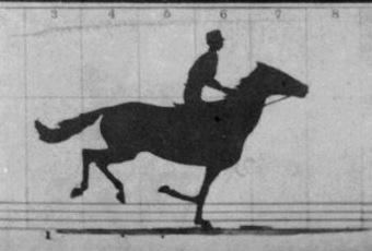 File:The Horse in Motion-anim.gif