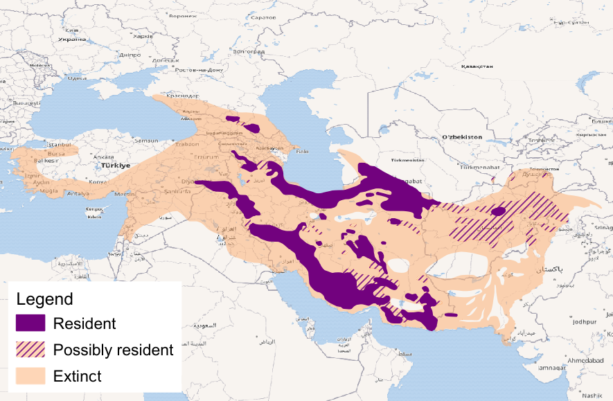 File:Leopard-tulliana-range.png