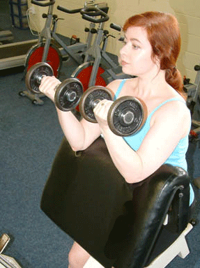 File:PreacherBenchBicepsCurl.gif