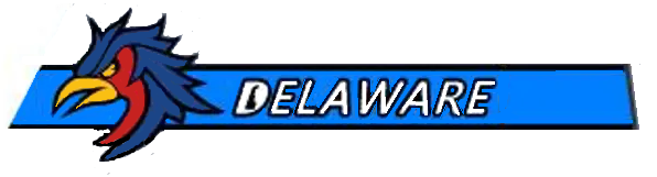 File:166 AW Delaware ANG tail stripe.png