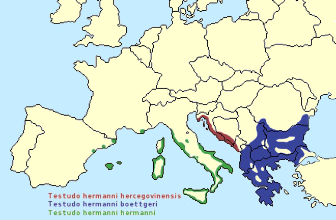 File:Testudo hermanni range map.jpg