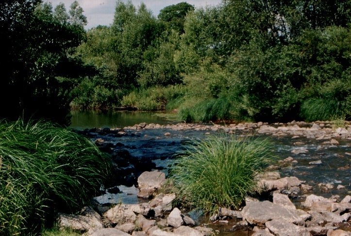 File:A Túr Sonkádnál, Kisbukógát.JPG