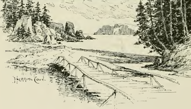 File:Herring Cove Campobello.png
