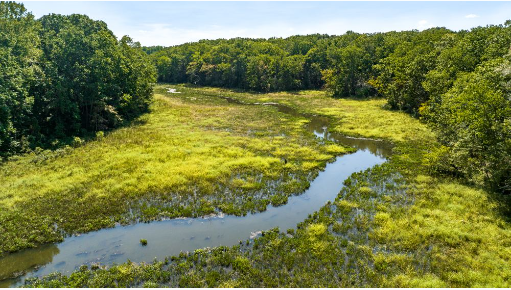 File:Mallows Bay Park creek tidal marsh.PNG