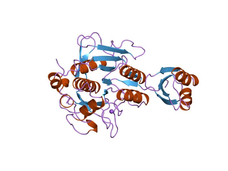 File:PDB 1spb EBI.jpg