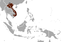 File:Pygmy Slow Loris area.png