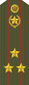 File:VMY Полковник ВВ.gif
