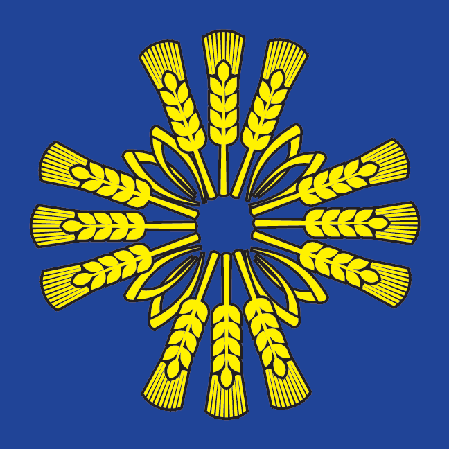 File:Baraflag.png