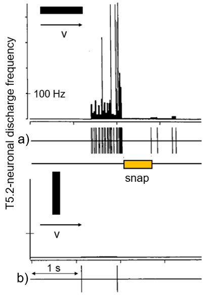 File:Snap160326.png