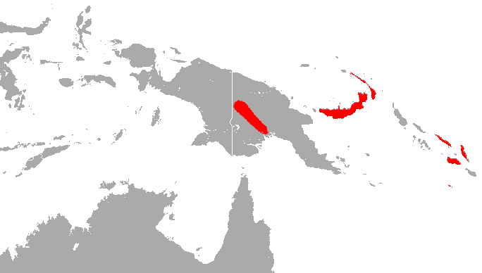 File:Large-Eared Sheath-Tailed Bat area.png