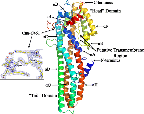 File:Crystal structure of Cry6Aa toxin.gif