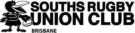 File:Souths-Logo.png