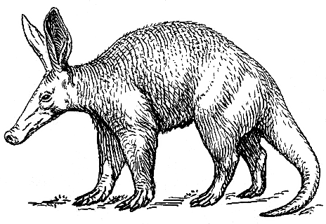 File:Aardvark2 (PSF).png