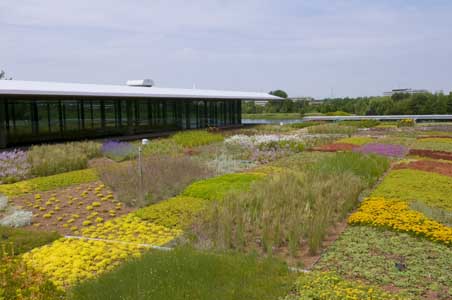 File:Green Roof Garden wiki.jpg