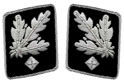 File:HH-SS-Gruppenfuhrer-Collar.png
