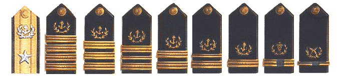 File:USMS Shoulder Boards.png