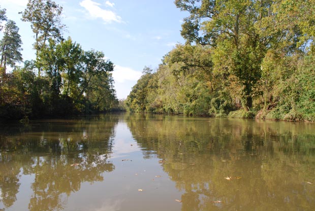 File:Bayou Teche.jpg