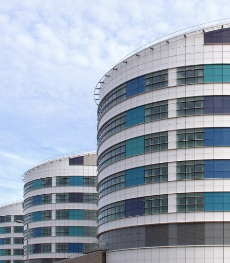 File:New Queen Elizabeth Hospital 3a.Cropped.jpg