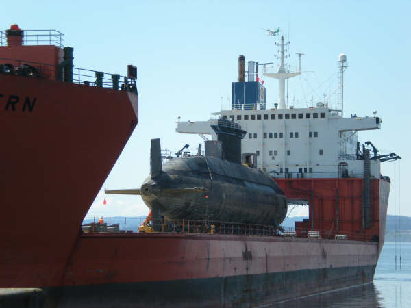 File:Tern1.jpg