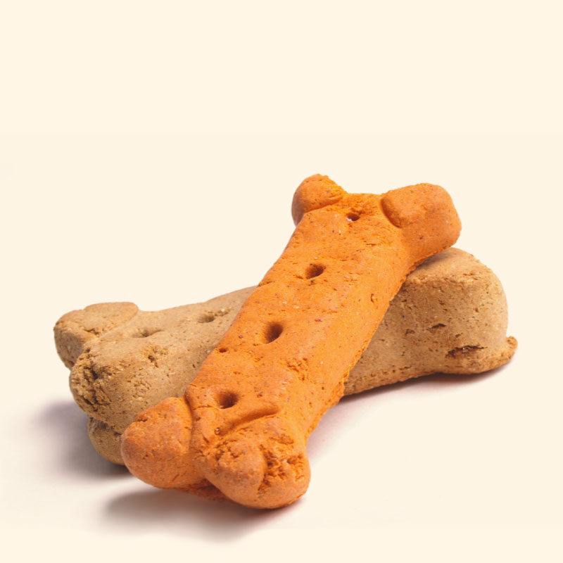 File:A Dog biscuit.jpg