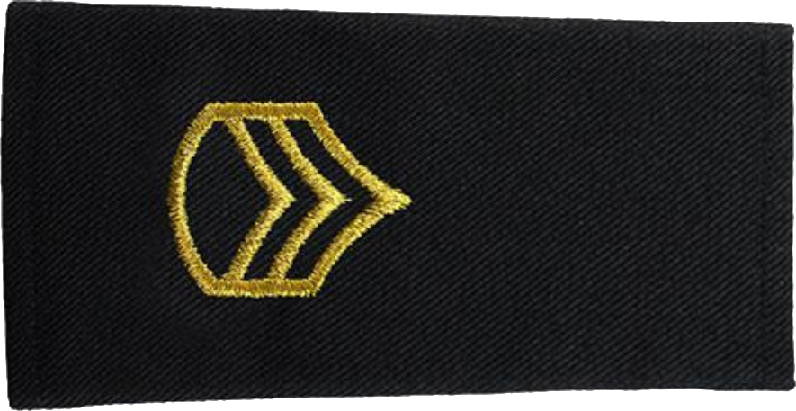 File:Army-U.S.-OR-06.png