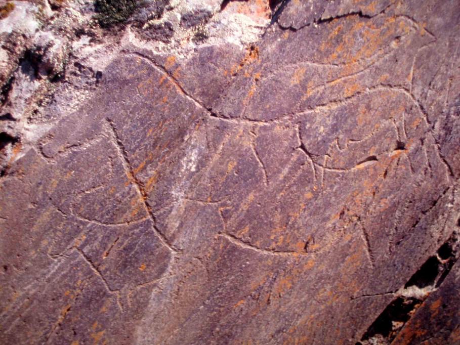 File:Rock Art Foz Coa 01.jpg