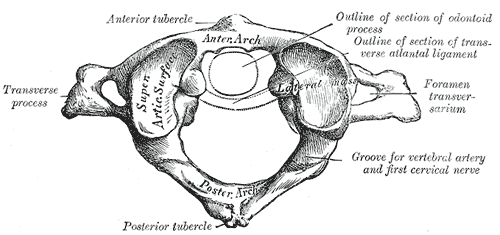 File:Gray86.png