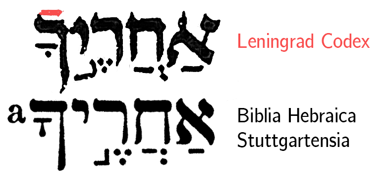 File:Rafe-ML-BHS.png