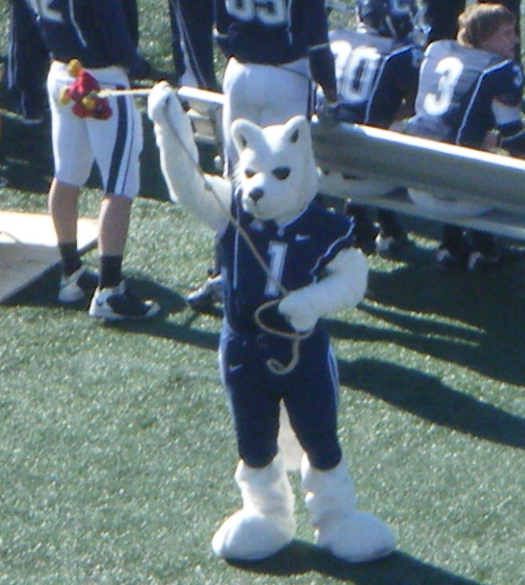 File:2010 PapaJohns.com Bowl Jonathan with Gamecock.JPG