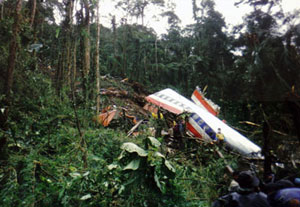 File:American Airlines Flight 965 crashsite.jpg