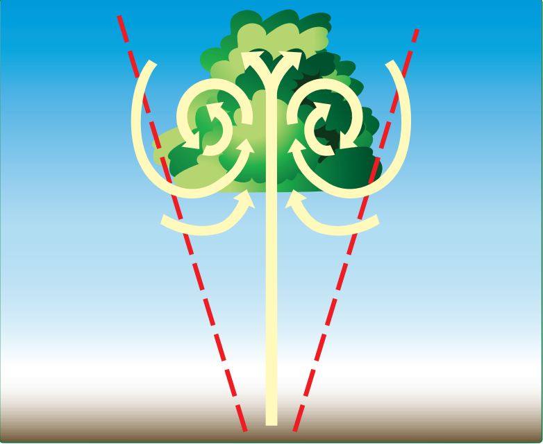 File:Bubble or vortex ring thermal model.jpg