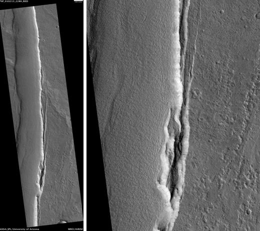 File:Artynia Catena.JPG
