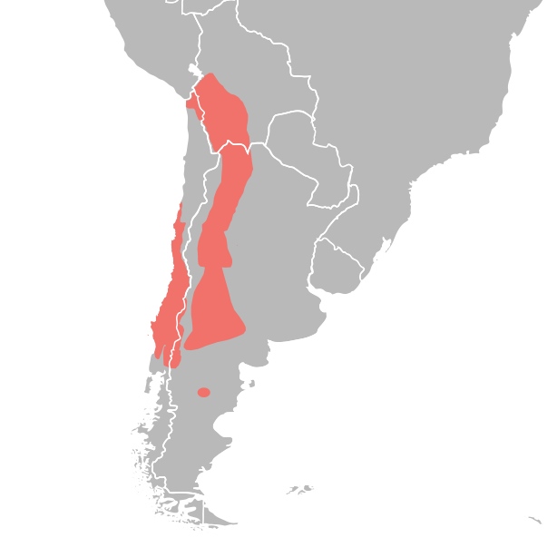 File:Octodontidae distribution.png